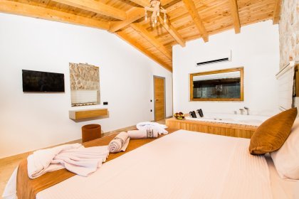 Villa Aura Premium(2329)