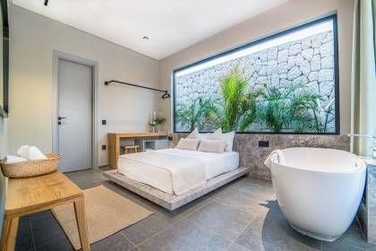 Villa Vio Pilea Star (1297)