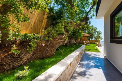 Villa Vision İslamlar (2236)